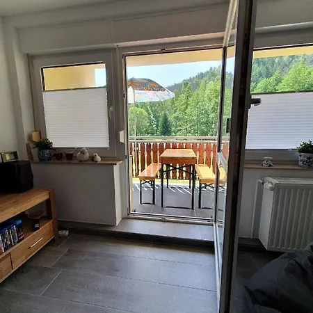 Ferienwohnung-wandersruh-oase-der-ruhe-am-malerweg-und-die-saechs-schweiz-direkt-vor-der-haustuer Apartment